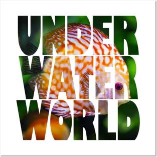 Underwater World Posters and Art